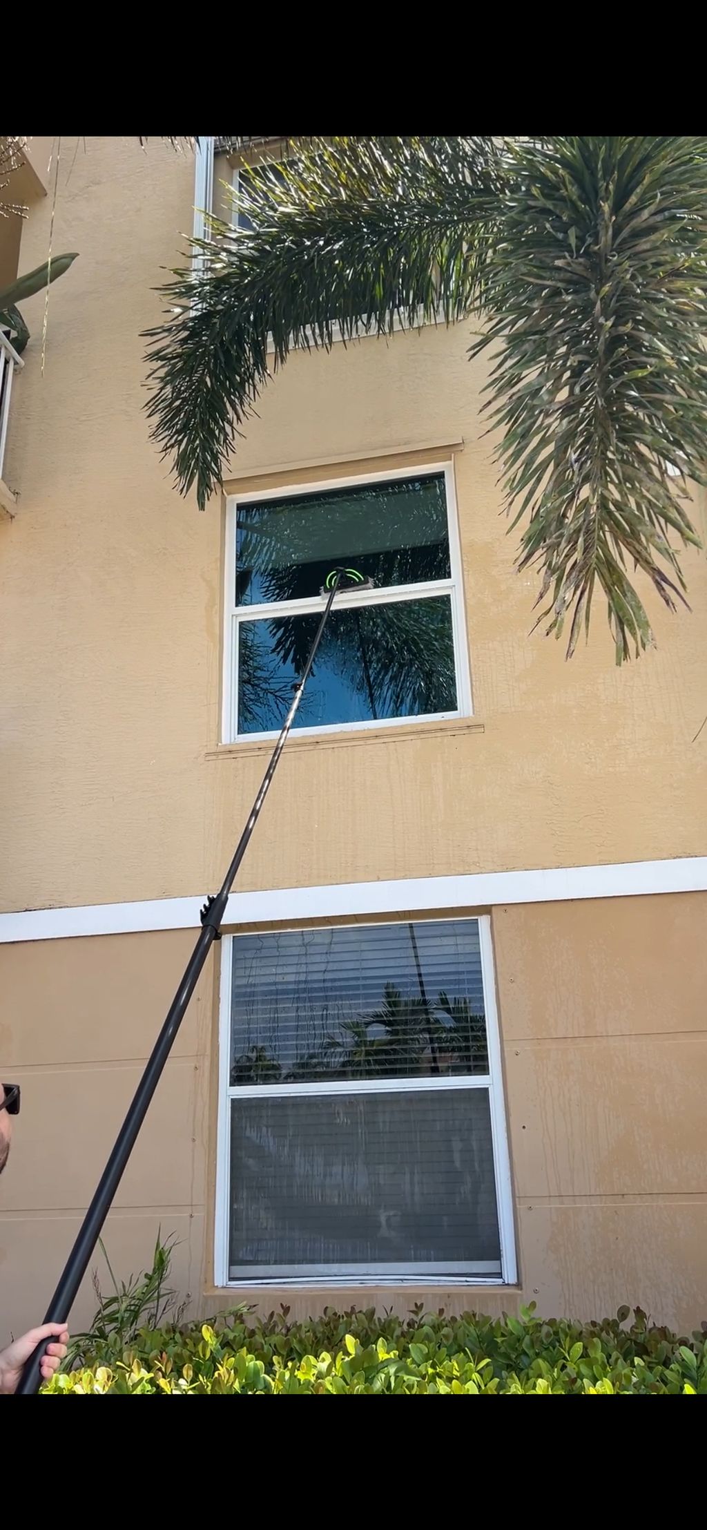 Window Cleaning