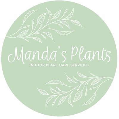 Avatar for Manda’s Plants