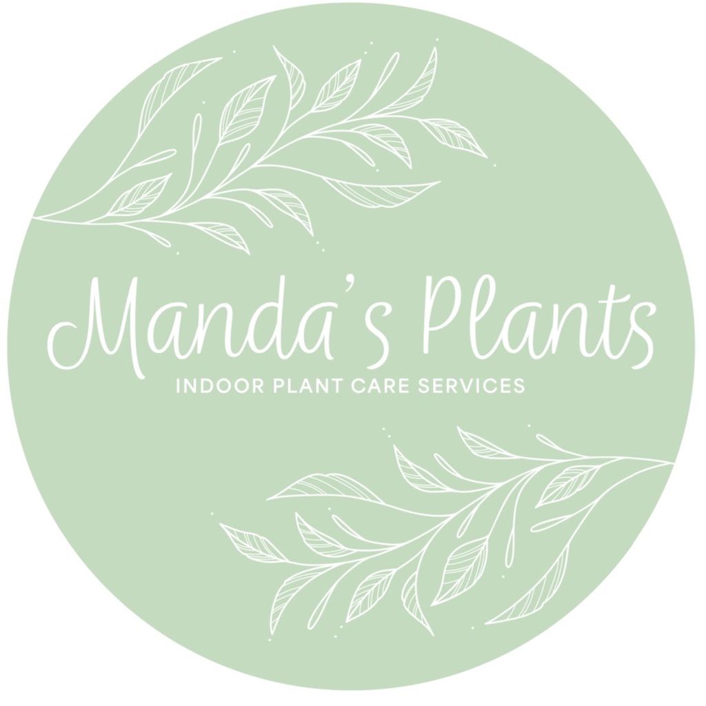 Manda’s Plants