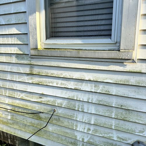 Pressure Washing