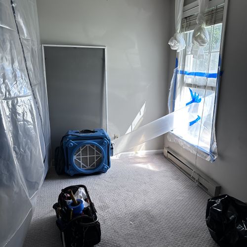 Mold Inspection and Removal