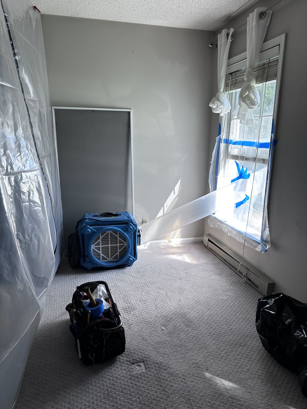 Mold Inspection and Removal