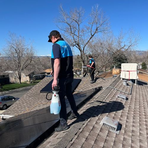 Solar panel cleaning