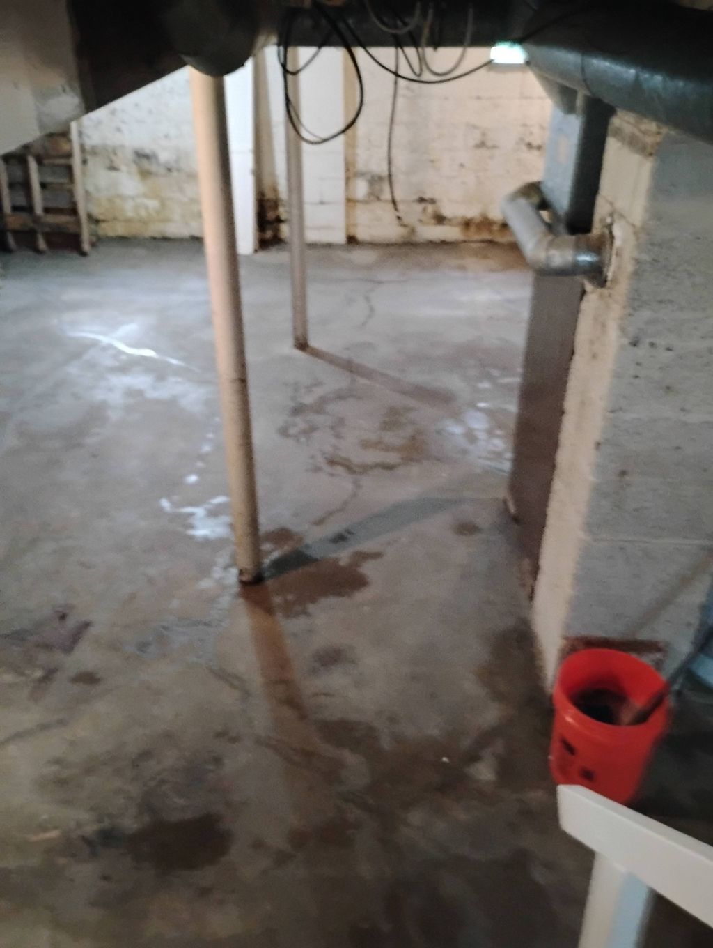 basement clean /clean out 