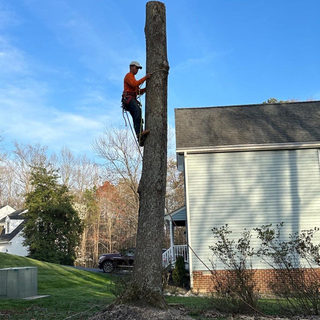 A&L Tree Service