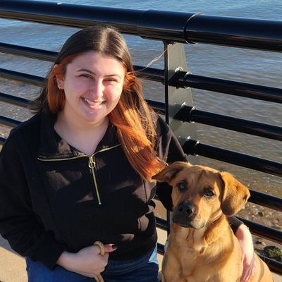 Avatar for Mindful K9 Solutions