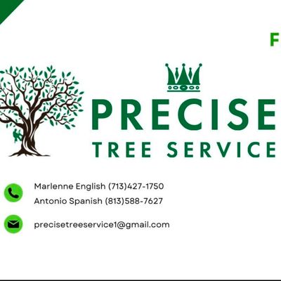 Avatar for Precise Tree Service