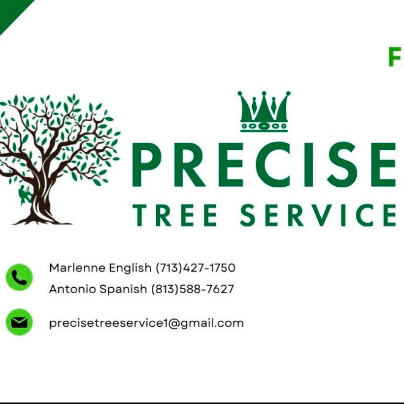 Precise Tree Service