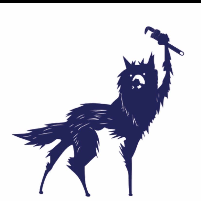 Blue Wolf Consulting LLC