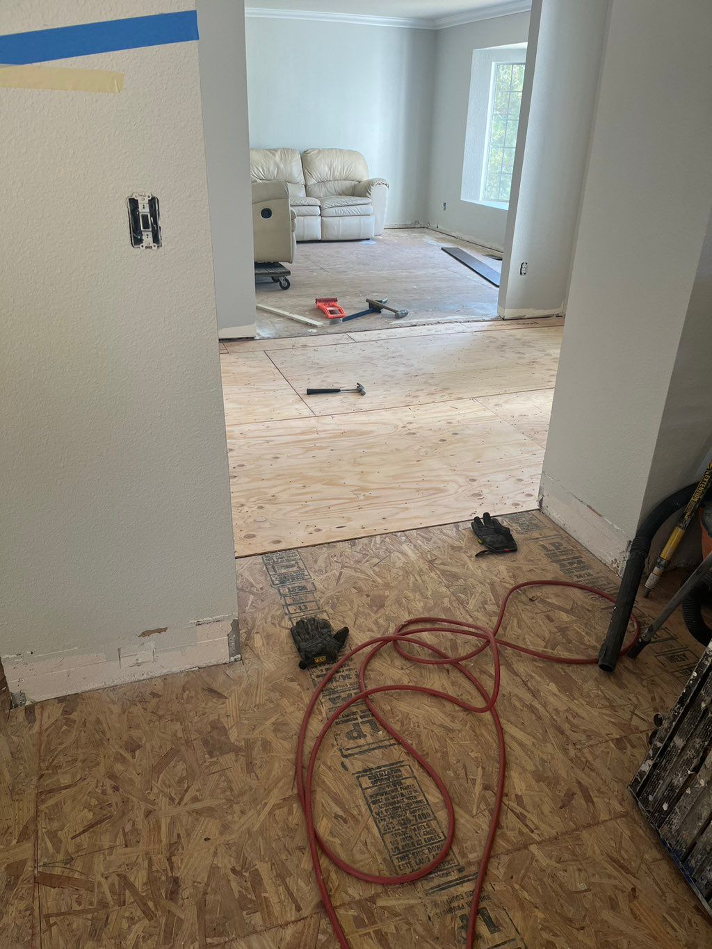 Projects and media