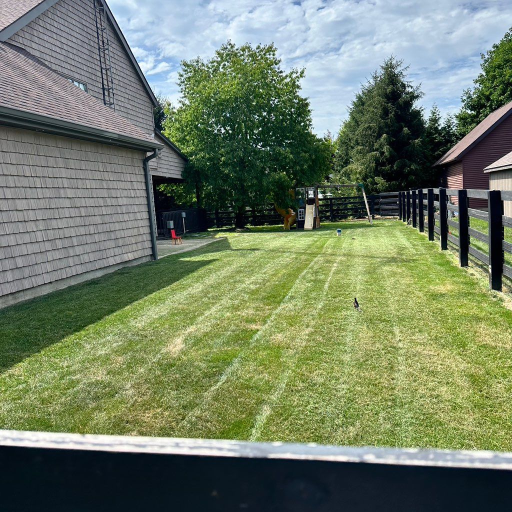 Dam lawn care
