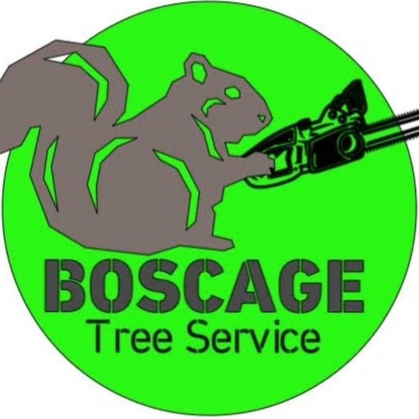 Boscage Tree Service