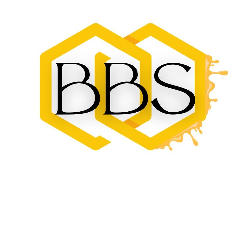 Bizzy Biz Solutions