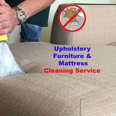 Avatar for Daisy Cleaning Service DFW