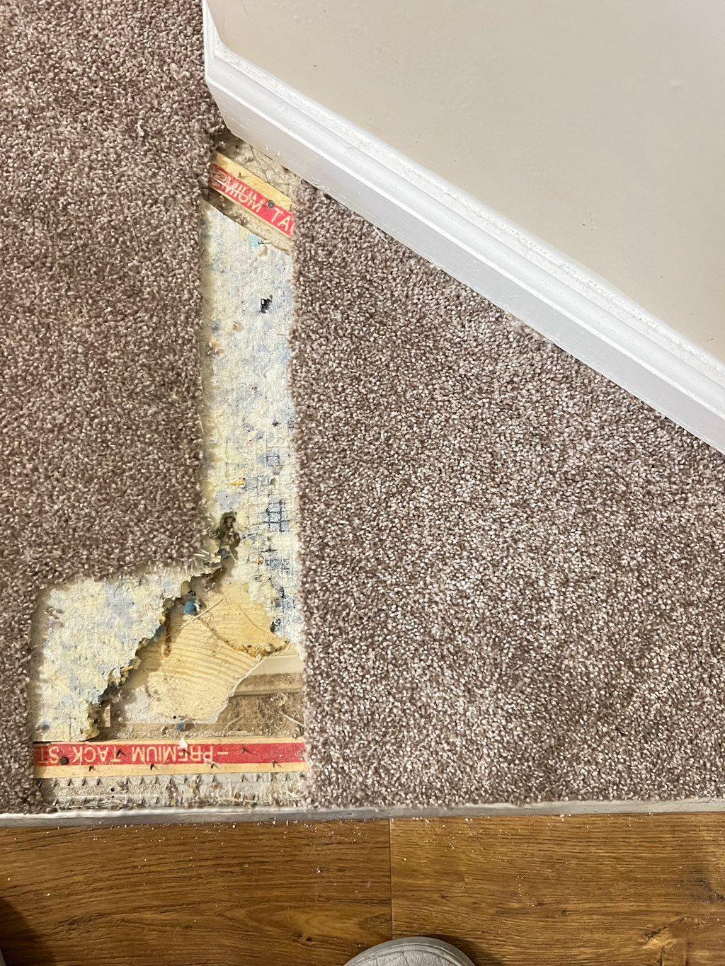 Customer photos