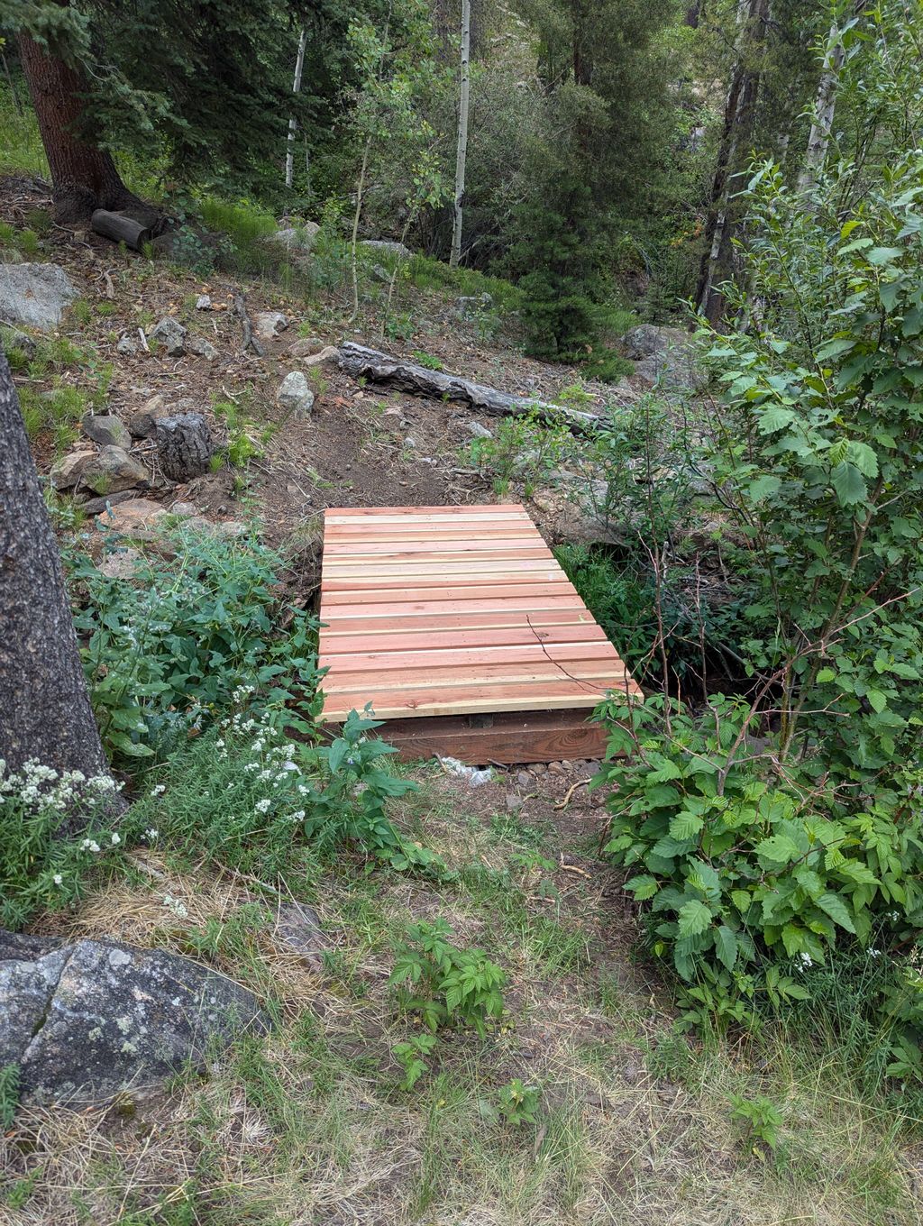 new bridge across creek