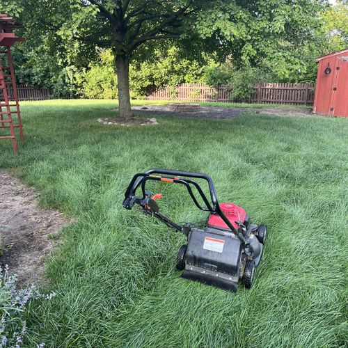 Lawn Mowing and Trimming