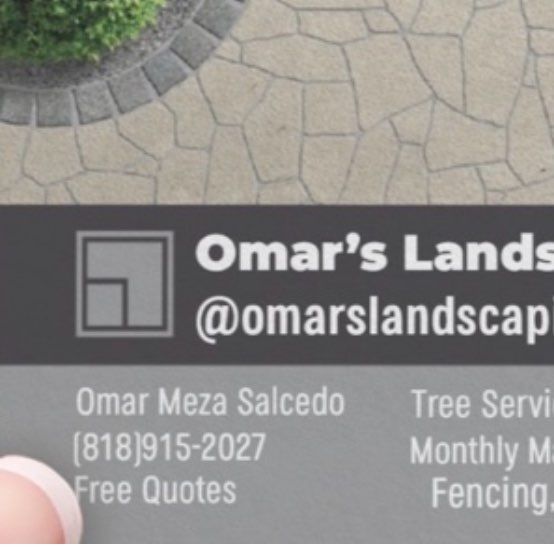 Omar’s landscape
