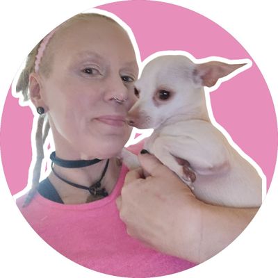 Avatar for Home Style, LLC. House Call Pet Grooming