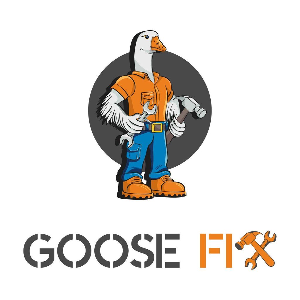 GOOSE FIX