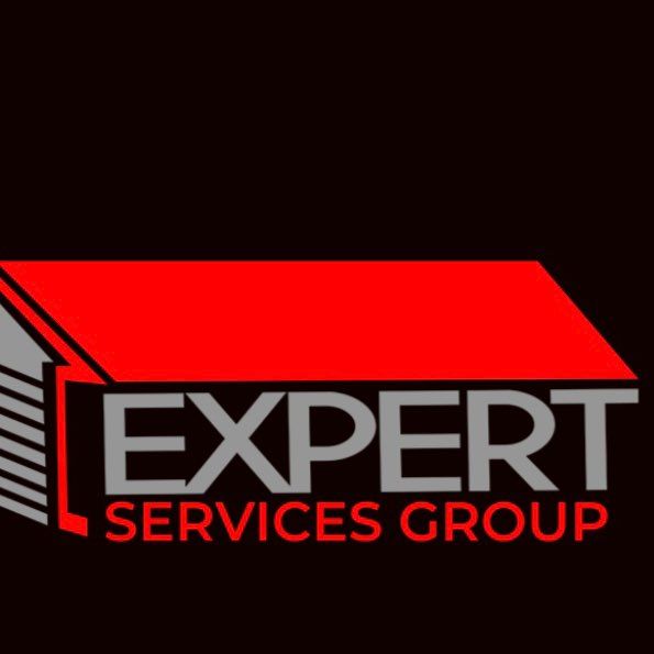 expert services group 770