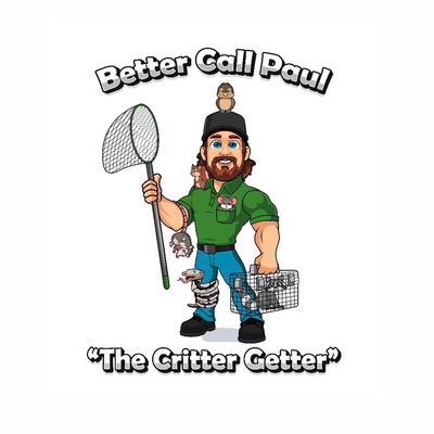 Avatar for Better Call Paul