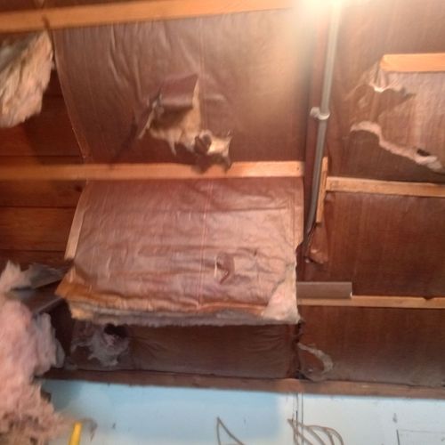 Insulation Installation or Upgrade