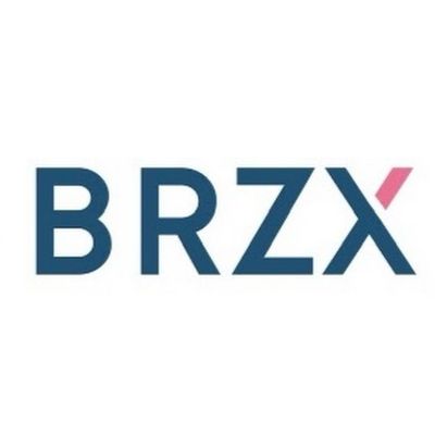 Avatar for BRZX CONSTRUCTION