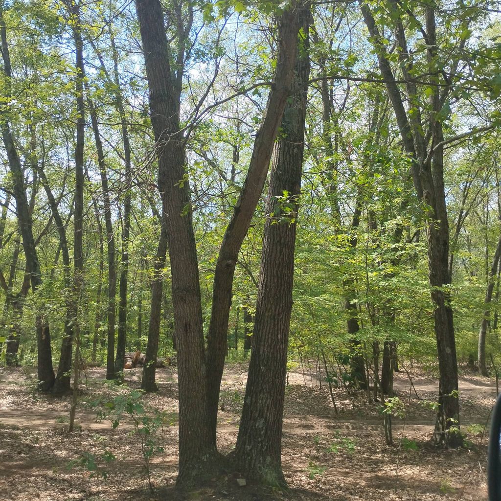 Pure Michigan Outdoor Living