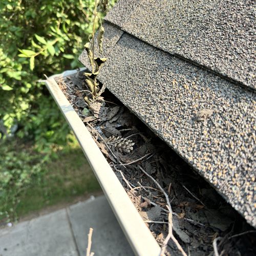 Gutter Cleaning and Maintenance