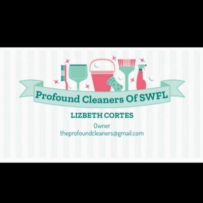 Avatar for The Profound Cleaners