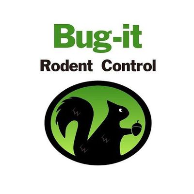 Avatar for Bug it Rodent Control