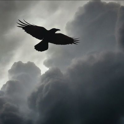 Avatar for God Squad