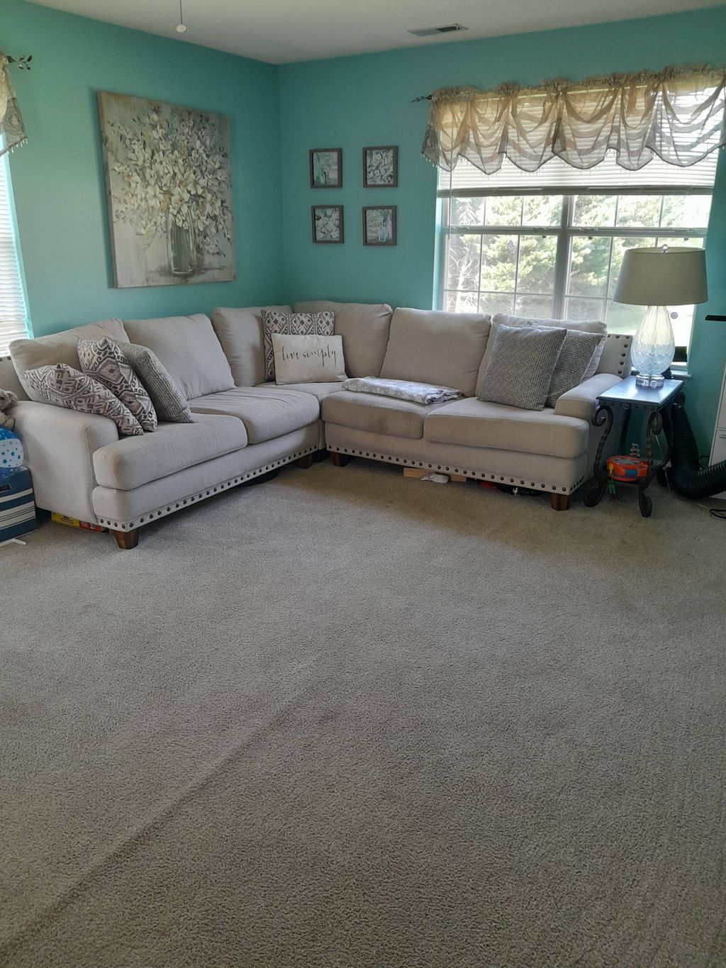 bonus/play room:  vacummed, dusted, organized