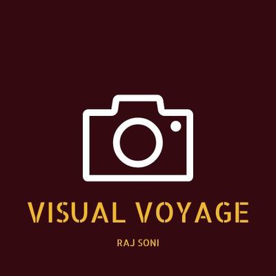 Avatar for visual voyage studio