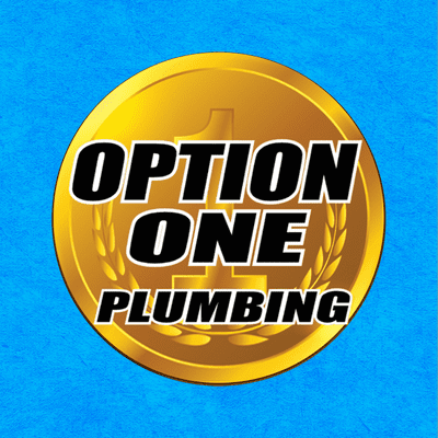 Avatar for Option One Plumbing