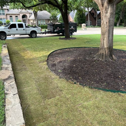 Sod Installation