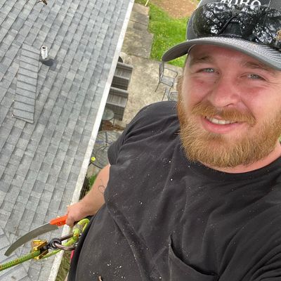 Avatar for Arbor Tree Service