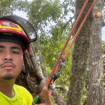 Avatar for Texas finest tree service