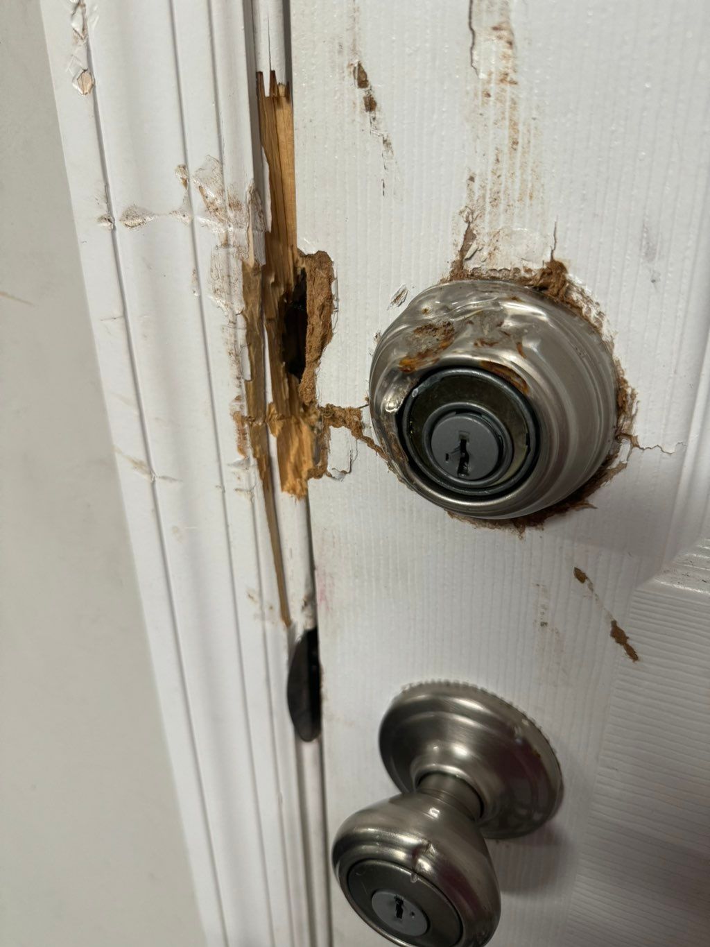 Customer photos