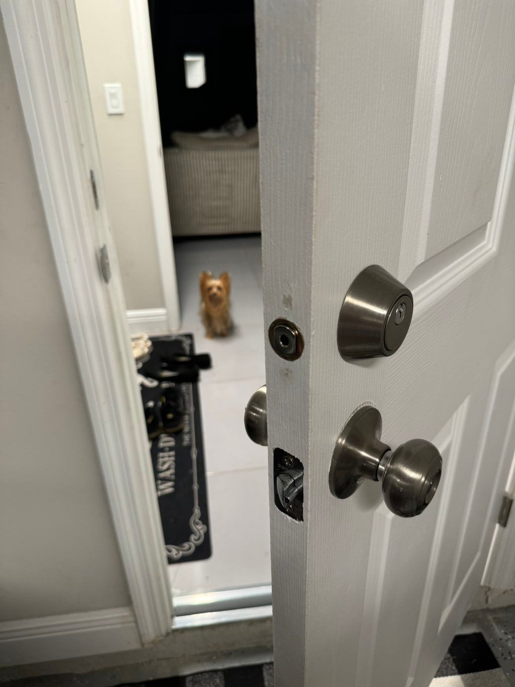 Customer photos