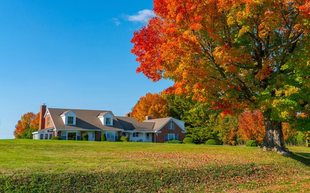 8 fall lawn care tips for healthy grass.