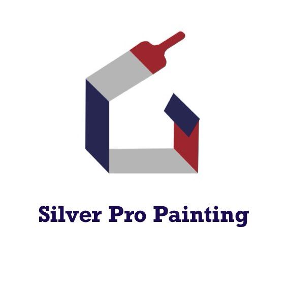 Silver Pro Painting