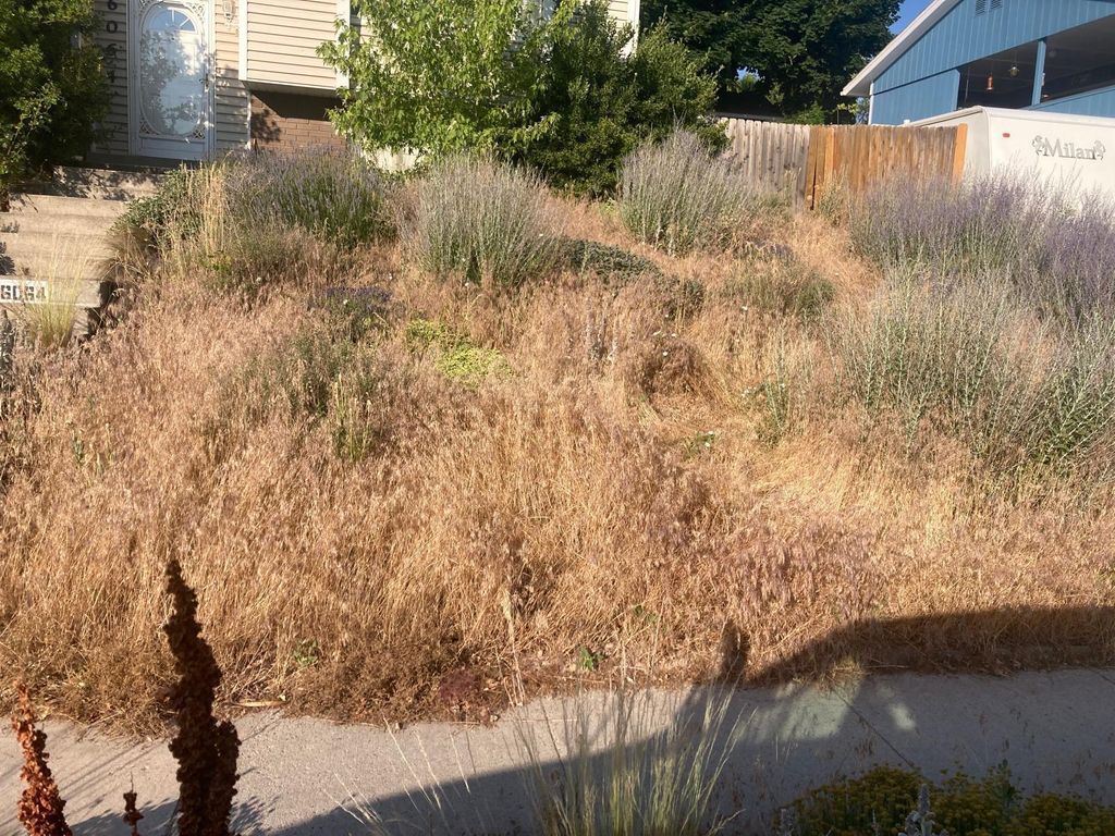 Fence and Gate Repairs