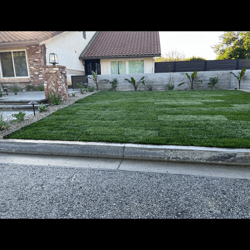 Sod Installation