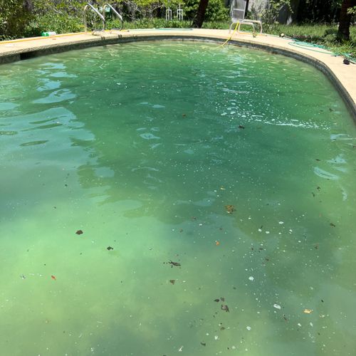 Swimming Pool Cleaning, Maintenance, and Inspection