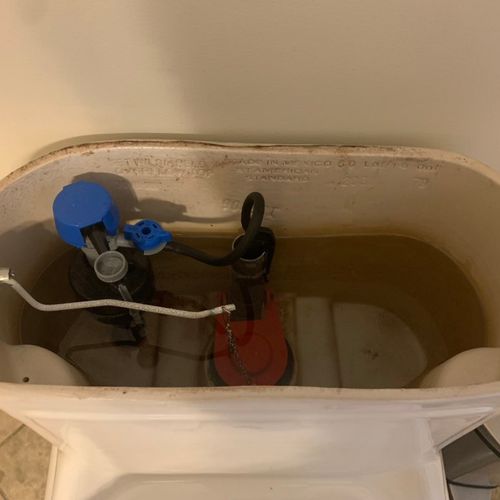 I had Eric replace two toilet fill valves and a sh