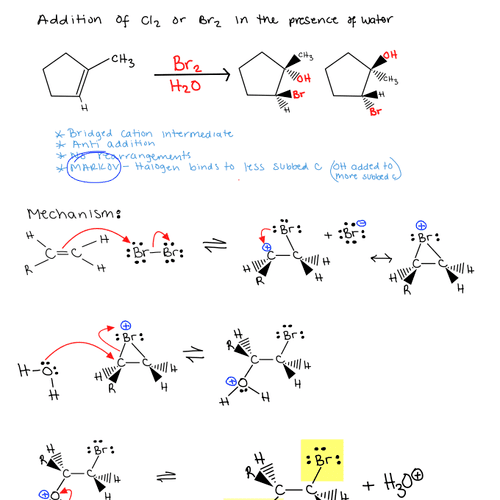 Session notes for an organic chemistry student