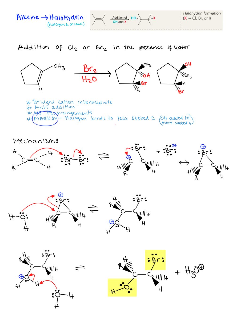 Session notes for an organic chemistry student