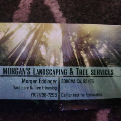 Avatar for Morgan's Property Maintenance & Tree Service